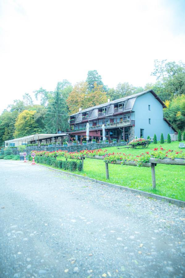 Vila Hunter Vip Reghin Exteriér fotografie