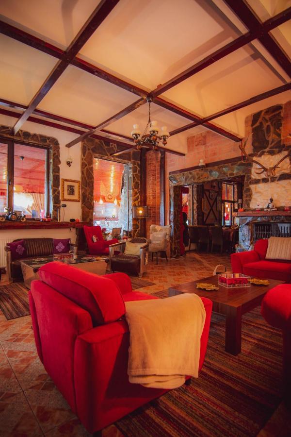 Vila Hunter Vip Reghin Exteriér fotografie
