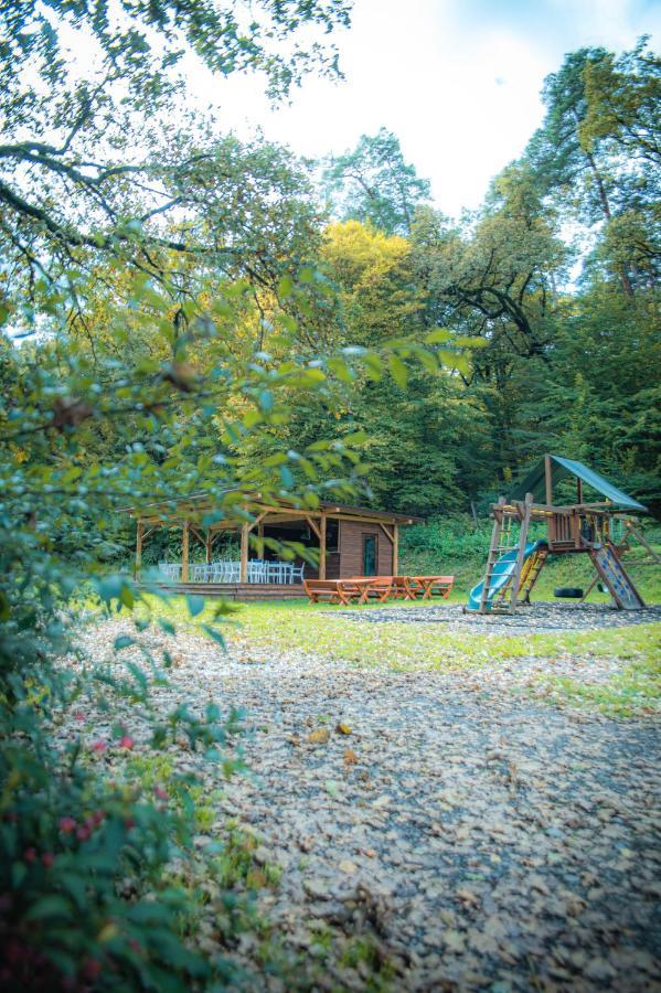 Vila Hunter Vip Reghin Exteriér fotografie