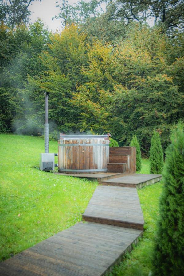 Vila Hunter Vip Reghin Exteriér fotografie